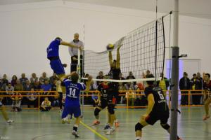 imagine-articol0_41788