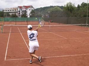 imagine-articol0_41828