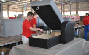 imagine-articol0_41833