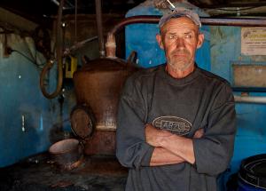 imagine-articol0_41855