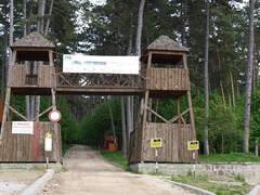 imagine-articol0_41887