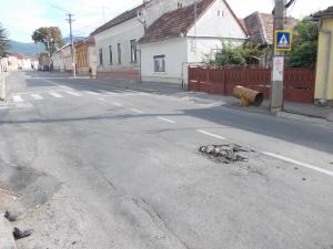 imagine-articol0_41894