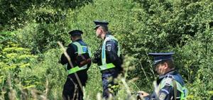 imagine-articol0_41909