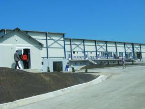 imagine-articol0_41925