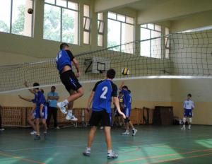 imagine-articol0_41932