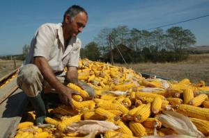 imagine-articol0_41962