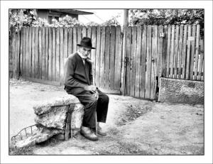 imagine-articol0_41967