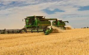 imagine-articol0_42044