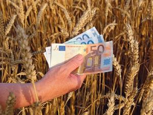 imagine-articol0_42046