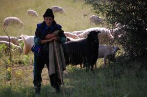 imagine-articol0_42084