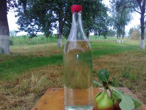 imagine-articol0_42086