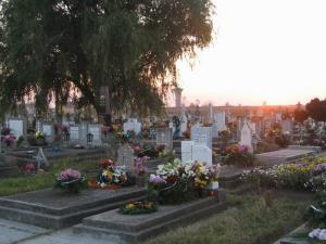 imagine-articol0_42103