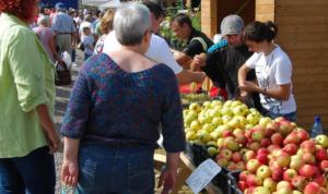 imagine-articol0_42104