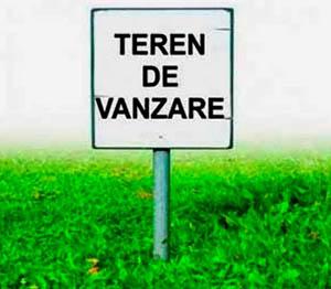 imagine-articol0_42105