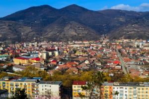 imagine-articol0_42124