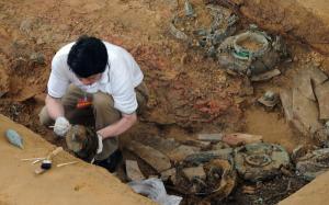 imagine-articol0_42145