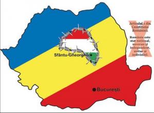 imagine-articol0_42151