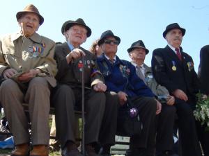 imagine-articol0_42188