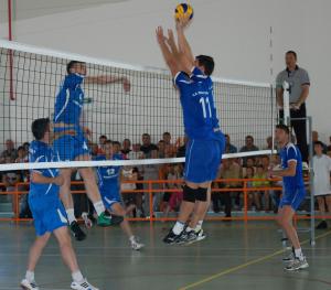 imagine-articol0_42196