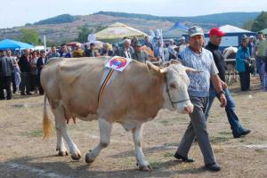 imagine-articol0_42208