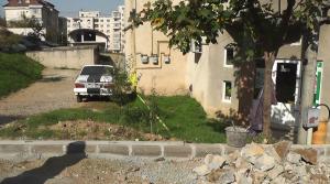 imagine-articol0_42209