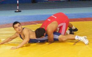 imagine-articol0_42235