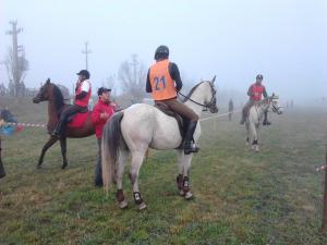 imagine-articol0_42237