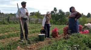 imagine-articol0_42251