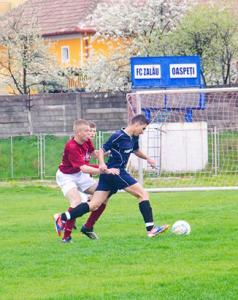 imagine-articol0_42253