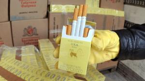 imagine-articol0_42263