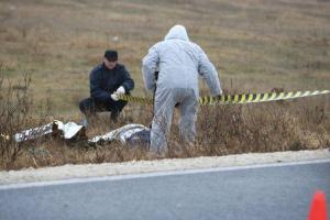 imagine-articol0_42268