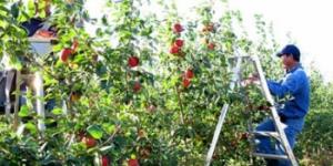 imagine-articol0_42287