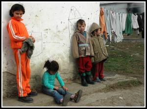 imagine-articol0_42288