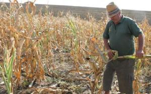 imagine-articol0_42312