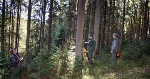 imagine-articol0_42346