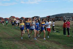 imagine-articol0_42359