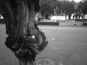 imagine-articol0_42363