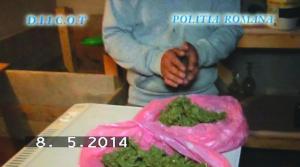 imagine-articol0_42371