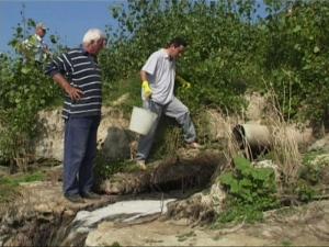 imagine-articol0_42373