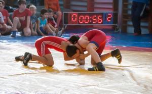 imagine-articol0_42387