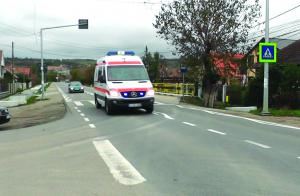 imagine-articol0_42396