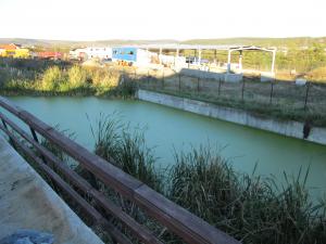 imagine-articol0_42418