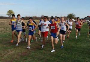 imagine-articol0_42439