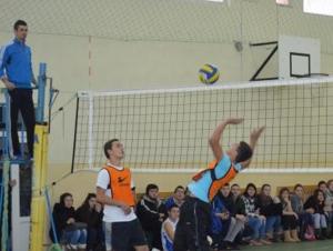 imagine-articol0_42447