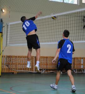 imagine-articol0_42468