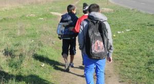 imagine-articol0_42502