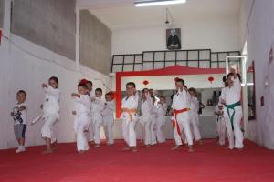 imagine-articol0_42545