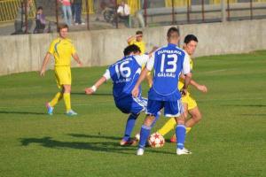 imagine-articol0_42546