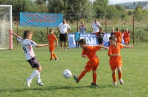 imagine-articol0_42561