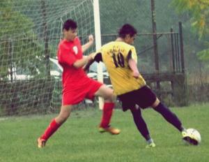 imagine-articol0_42563